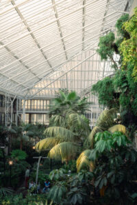 Barbican Conservatory Londyn