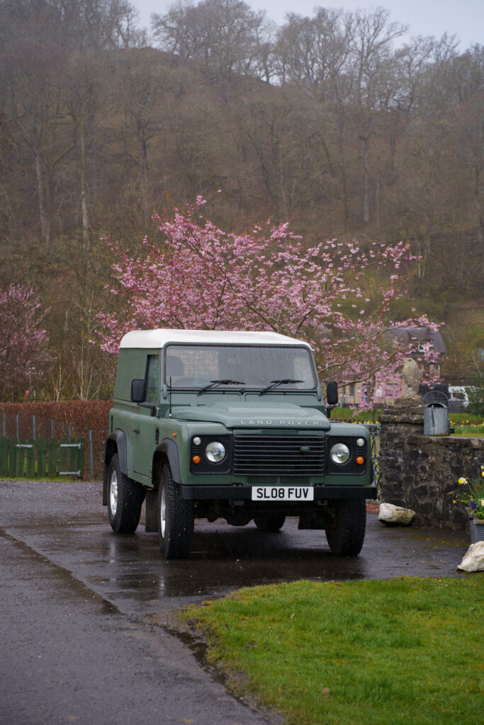Stary Land Rover Defender przy kwitnącej wiśni